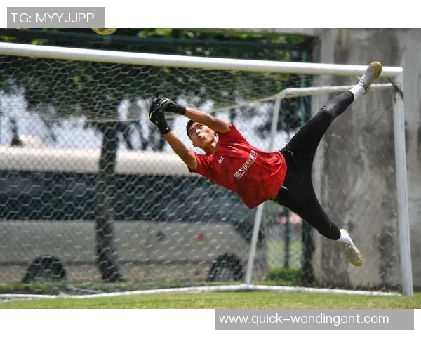 恒大足球发展历程回顾与未来展望:从崛起到挑战的传奇之路 恒大足球发展历程回顾与未来展望:从崛起到挑战的传奇之路