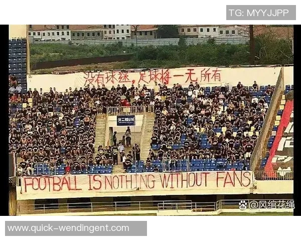 陕西足球队中甲征程回顾与未来展望分析